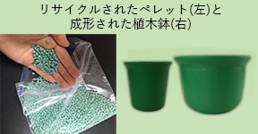 歯ブラシから作られた植木鉢