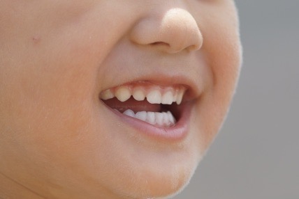 子供の歯