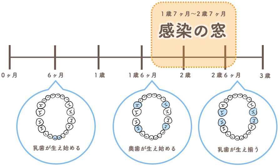 1歳7ヶ月〜2歳7ヶ月は感染の窓