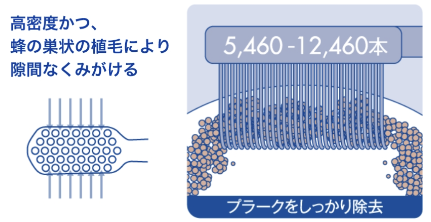 クラプロックスの特徴