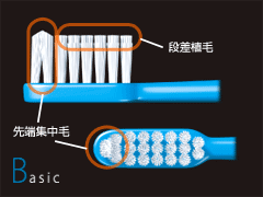 B-10、B-20の毛先