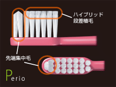 P-10、P-20の毛先