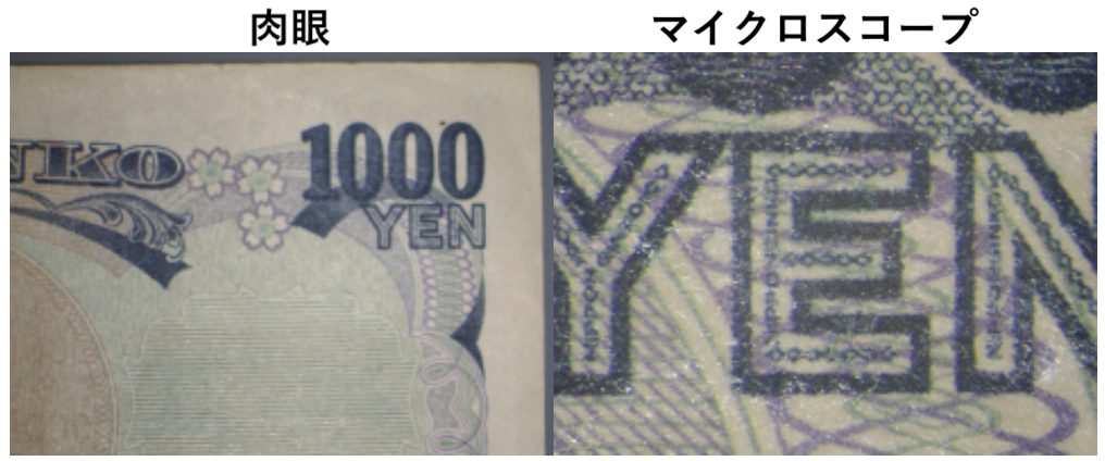 肉眼とマイクロスコープの違い