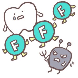 フッ素の働き