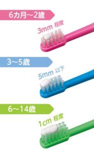 子供歯磨き粉の量