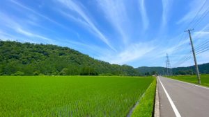 田舎