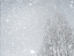 雪