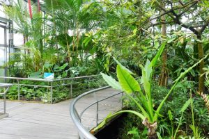 植物園