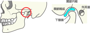 顎関節