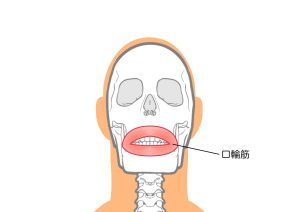 口輪筋