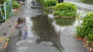 雨